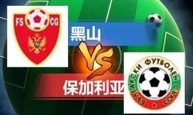 老司机免费福利视频